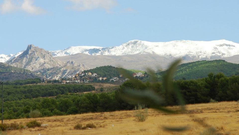 El Rincon De Pepa Διαμέρισμα La Zubia  Εξωτερικό φωτογραφία